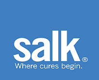 Salk Company logo